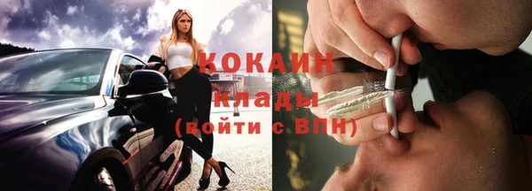прущие грибы Гусь-Хрустальный