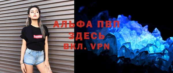 прущие грибы Гусь-Хрустальный
