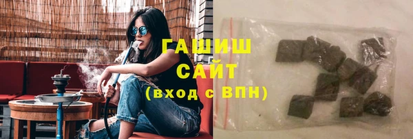 шишки Гусиноозёрск