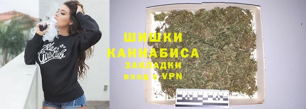 прущие грибы Гусь-Хрустальный