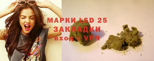 прущие грибы Гусь-Хрустальный