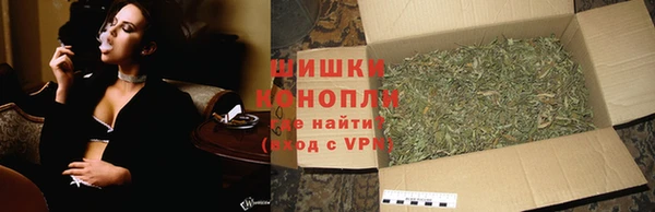 apvp Гусев