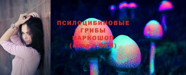 шишки Гусиноозёрск