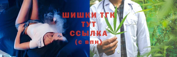 apvp Гусев