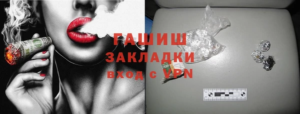 шишки Гусиноозёрск