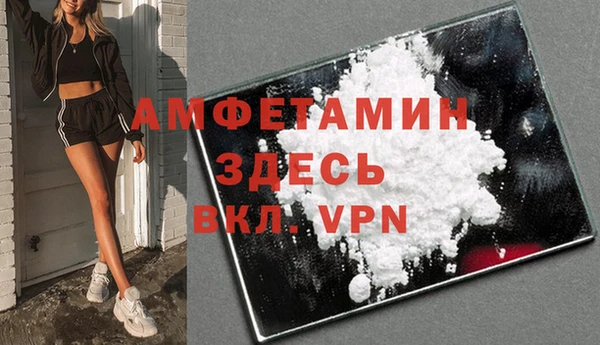 шишки Гусиноозёрск