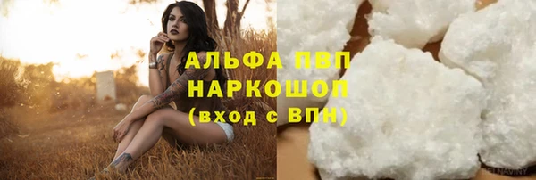прущие грибы Гусь-Хрустальный