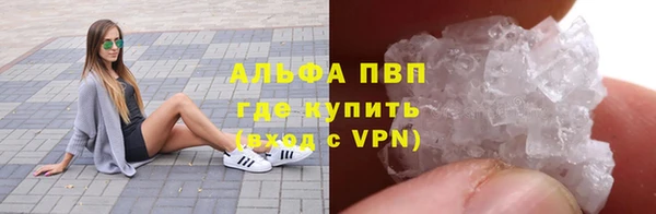 apvp Гусев