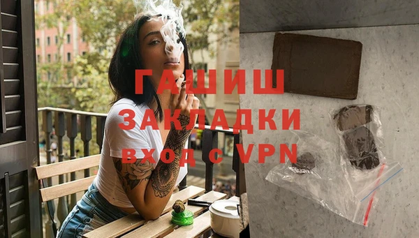 apvp Гусев