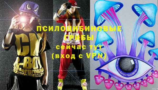 шишки Гусиноозёрск