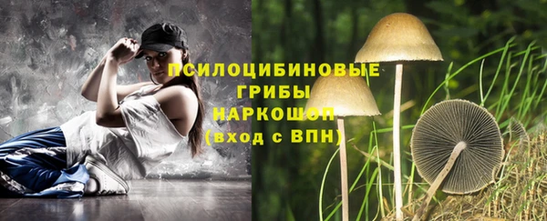 шишки Гусиноозёрск
