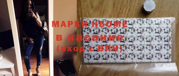 шишки Гусиноозёрск