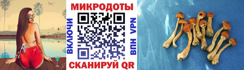 Галлюциногенные грибы GOLDEN TEACHER  Купить где  Красный Кут 